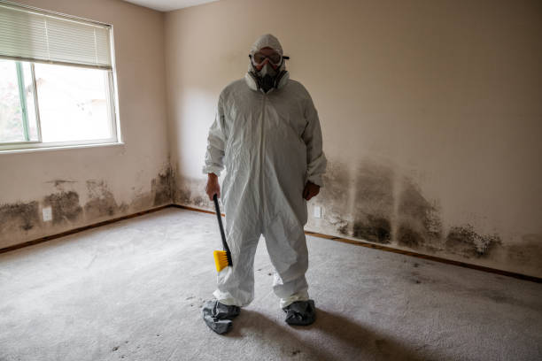 Crawl Space Mold Removal in Kealakekua, HI